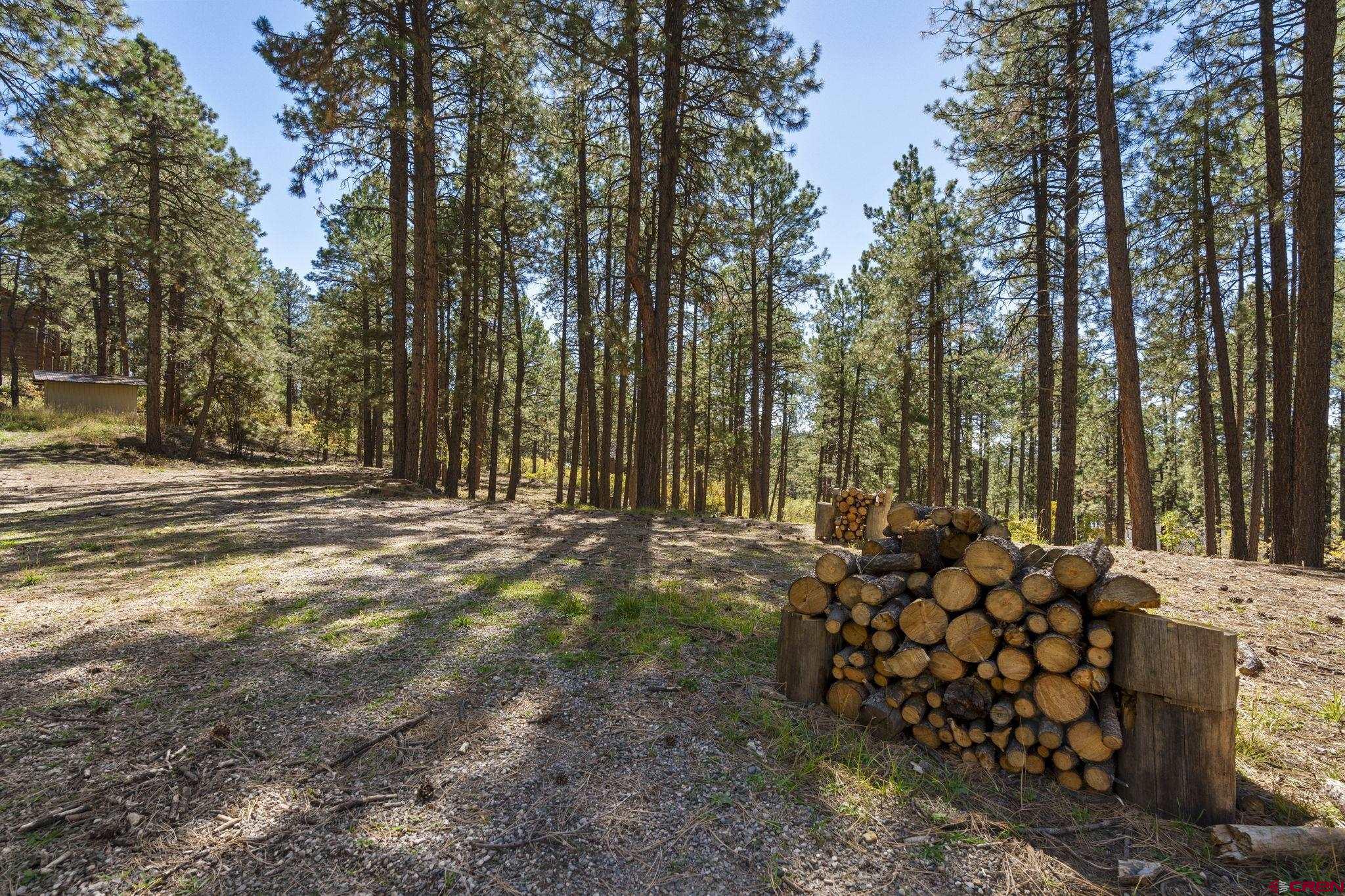 138 Green Ridge Drive Bayfield, CO 81122 - Photo 5 of 12 a view of a yard with plants and trees