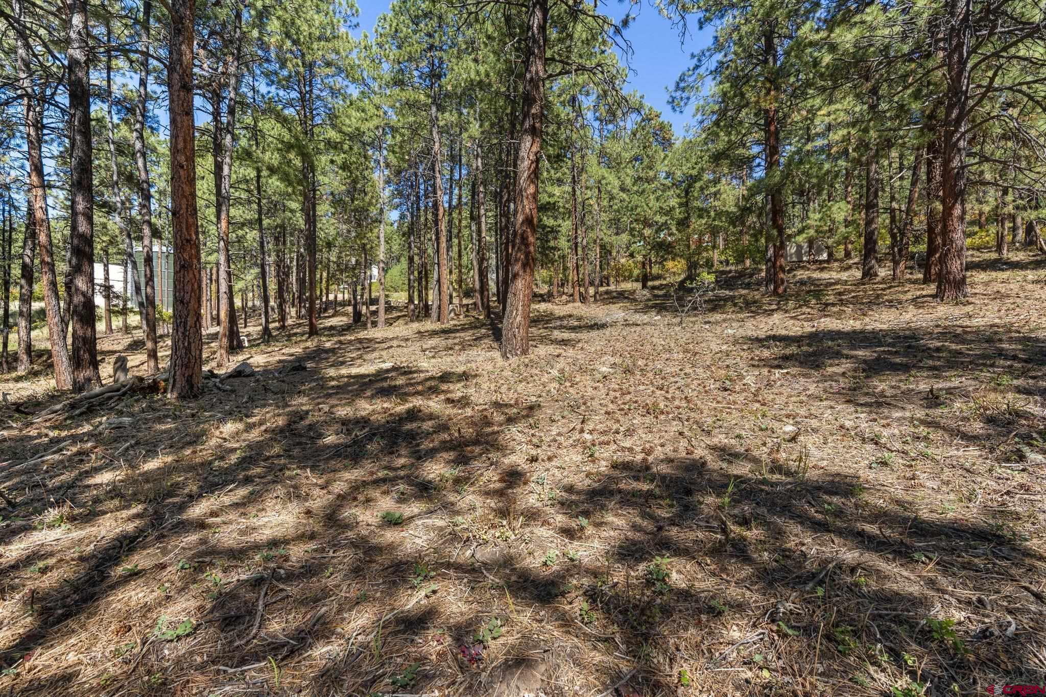 138 Green Ridge Drive Bayfield, CO 81122 - Photo 6 of 12 a view of outdoor space with trees