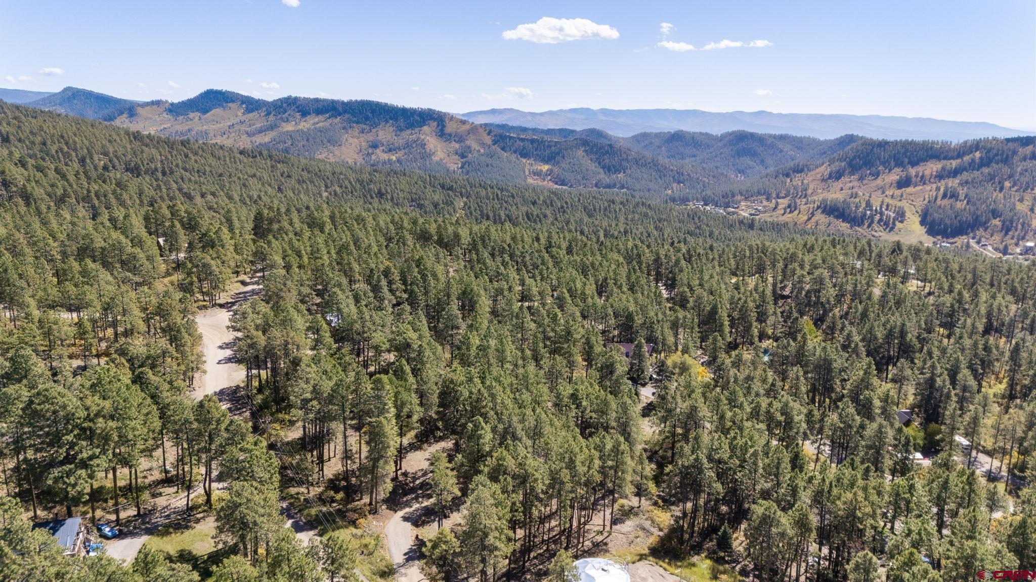 138 Green Ridge Drive Bayfield, CO 81122 - Photo 7 of 12 a view of a lush green hillside and a mountain