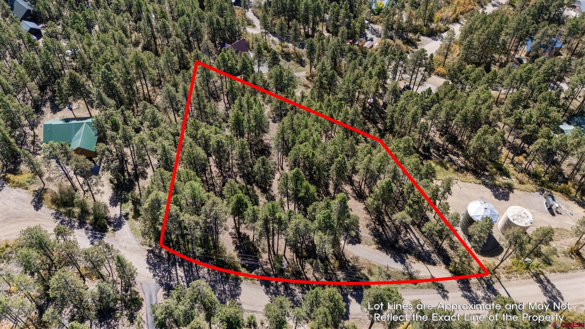 138 Green Ridge Drive Bayfield, CO 81122 - Photo 8 of 12 a close up of a palm tree