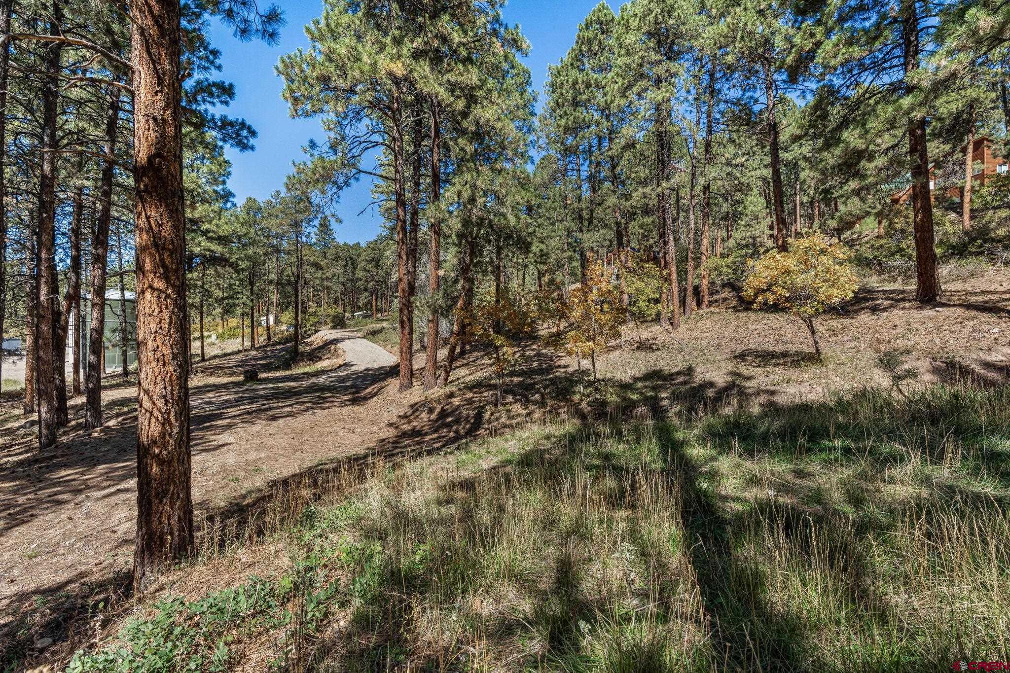 138 Green Ridge Drive Bayfield, CO 81122 - Photo 8 of 12 a view of backyard of a house