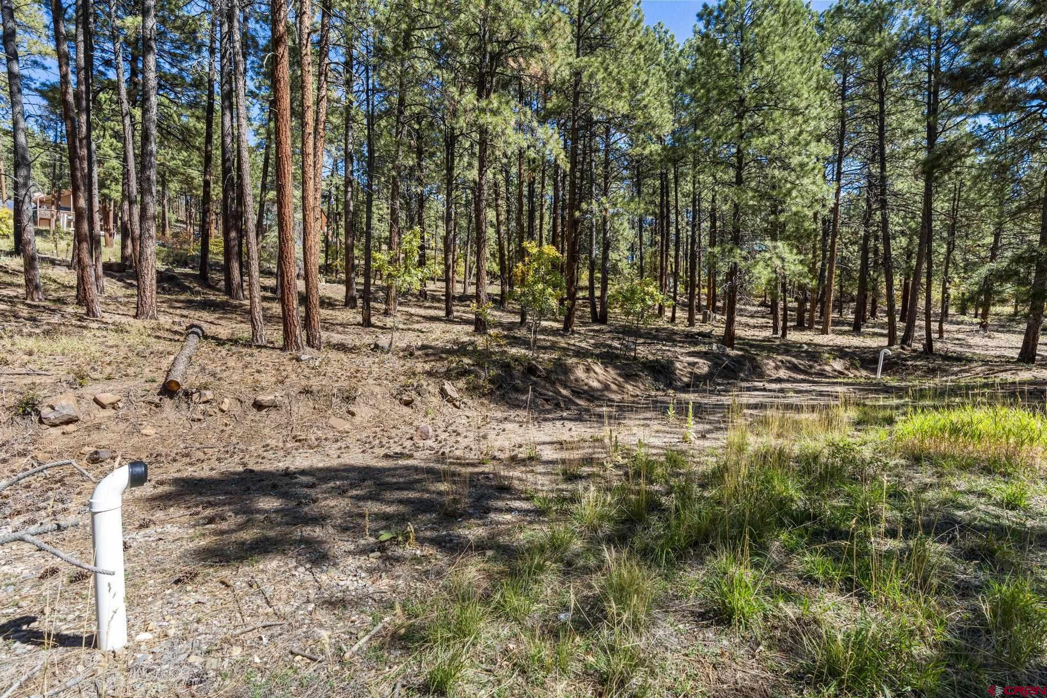 138 Green Ridge Drive Bayfield, CO 81122 - Photo 9 of 12 a backyard of a house with lots of green space