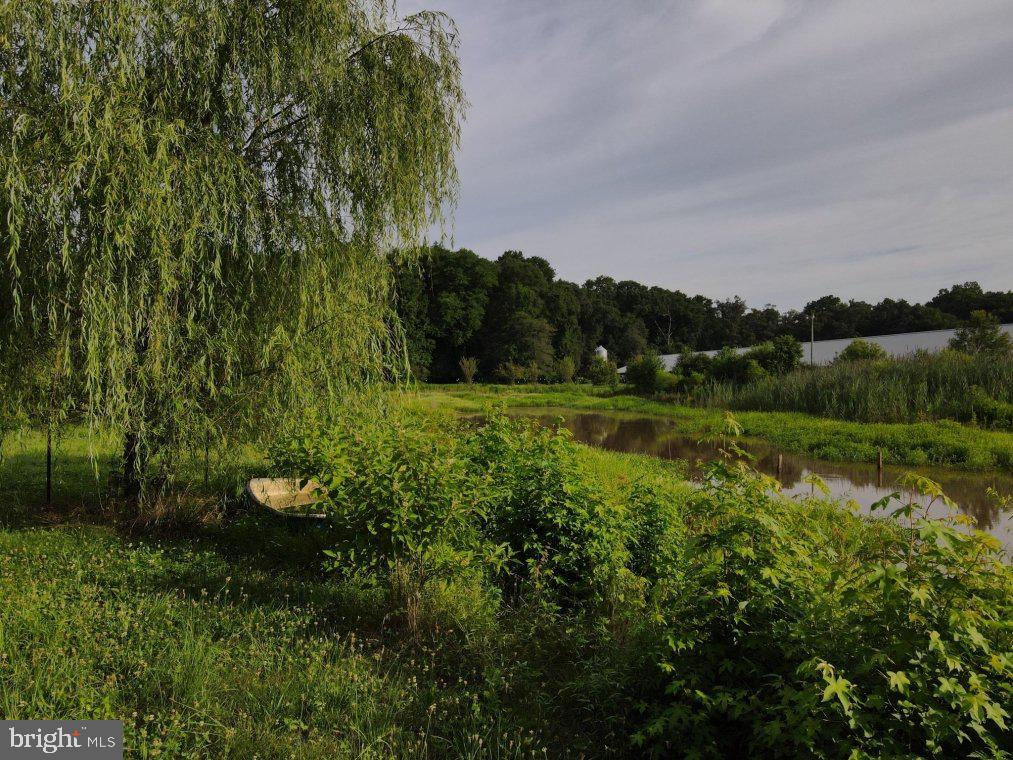 Cool Spring Road Marydel, MD 21649 - Photo 5 of 18 a view of a golf course with a lake