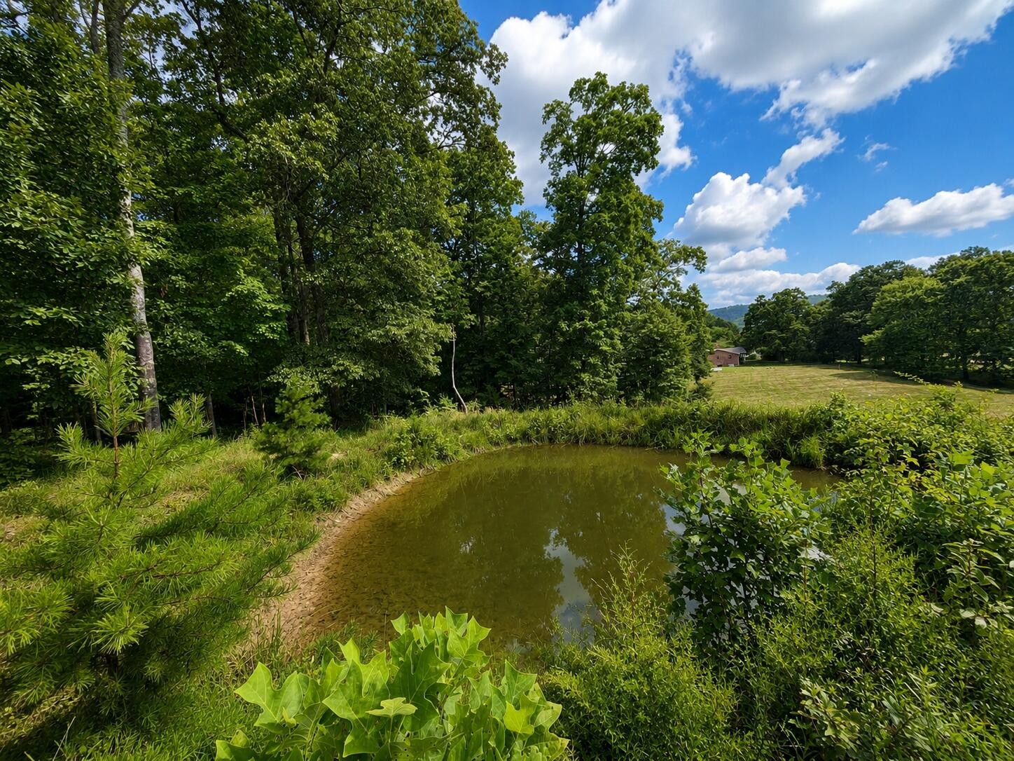 138 Keylon Hollow Road Ten Mile, TN 37880 - Photo 16 of 52 Gallery Image 16