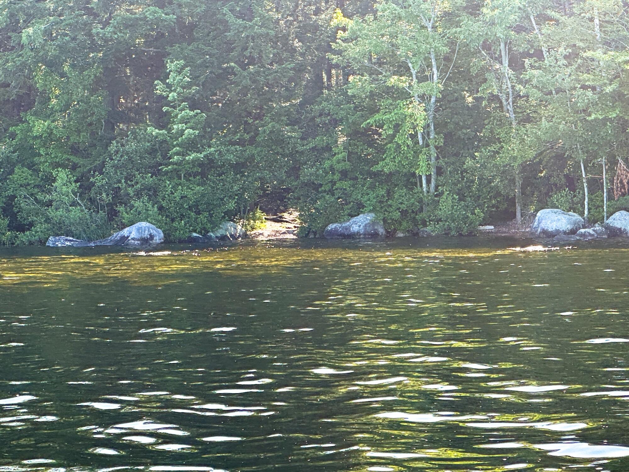 Tbd Westerlea Way Standish, ME 04084 - Photo 12 of 14 IMG_5715