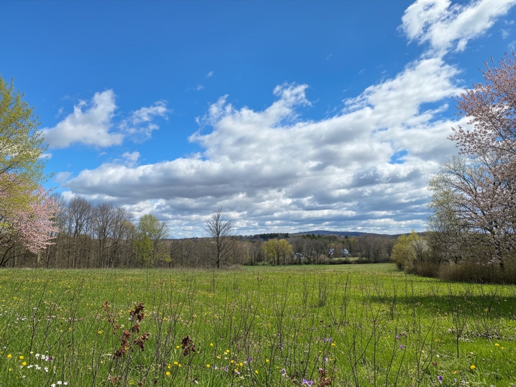 329 Fuller Street Ludlow, MA 01056 - Photo 7 of 13