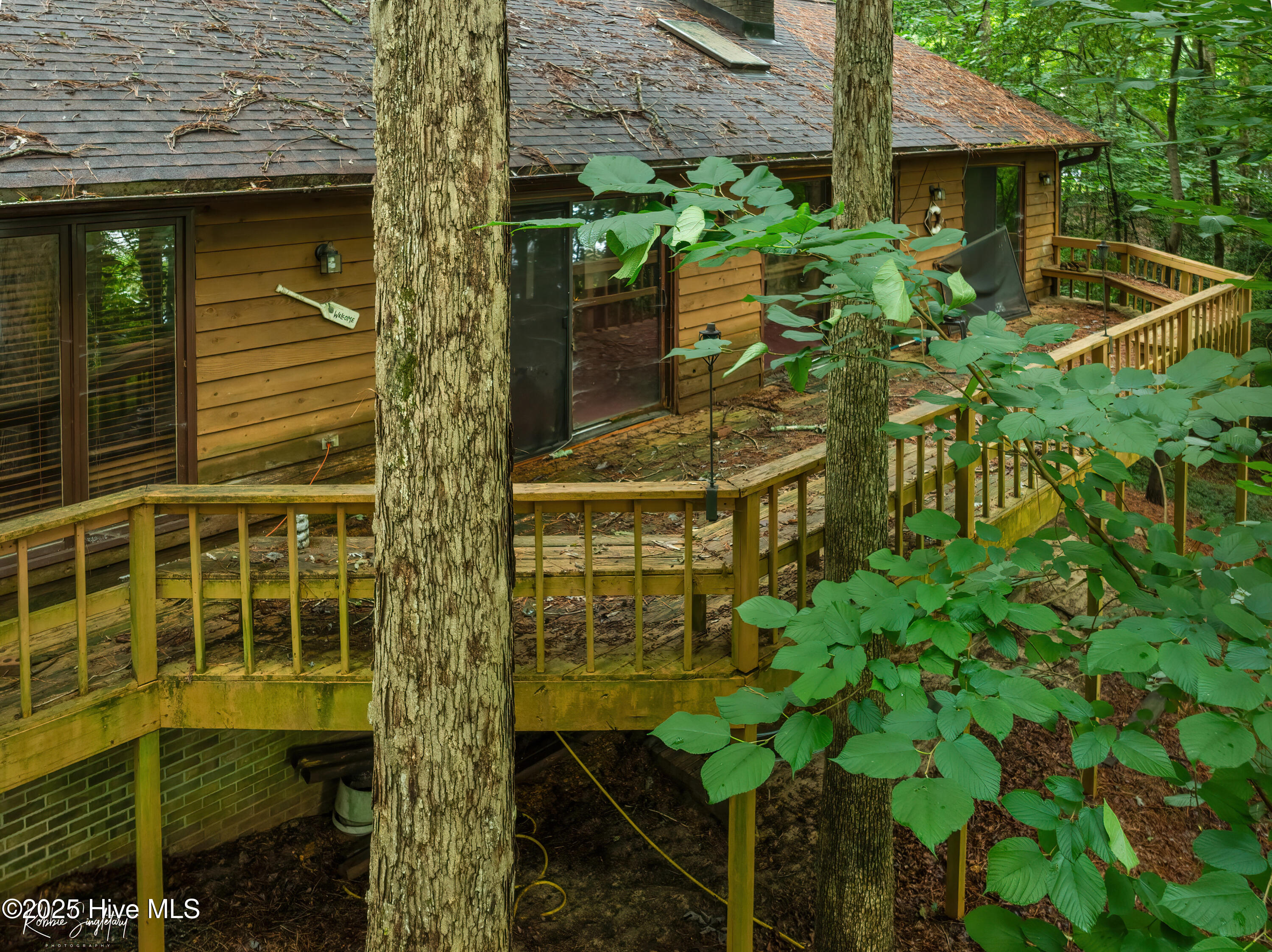 299 Rankin Lake Road Ellerbe, NC 28338 - Photo 44 of 61 RS 1 DJI_0537
