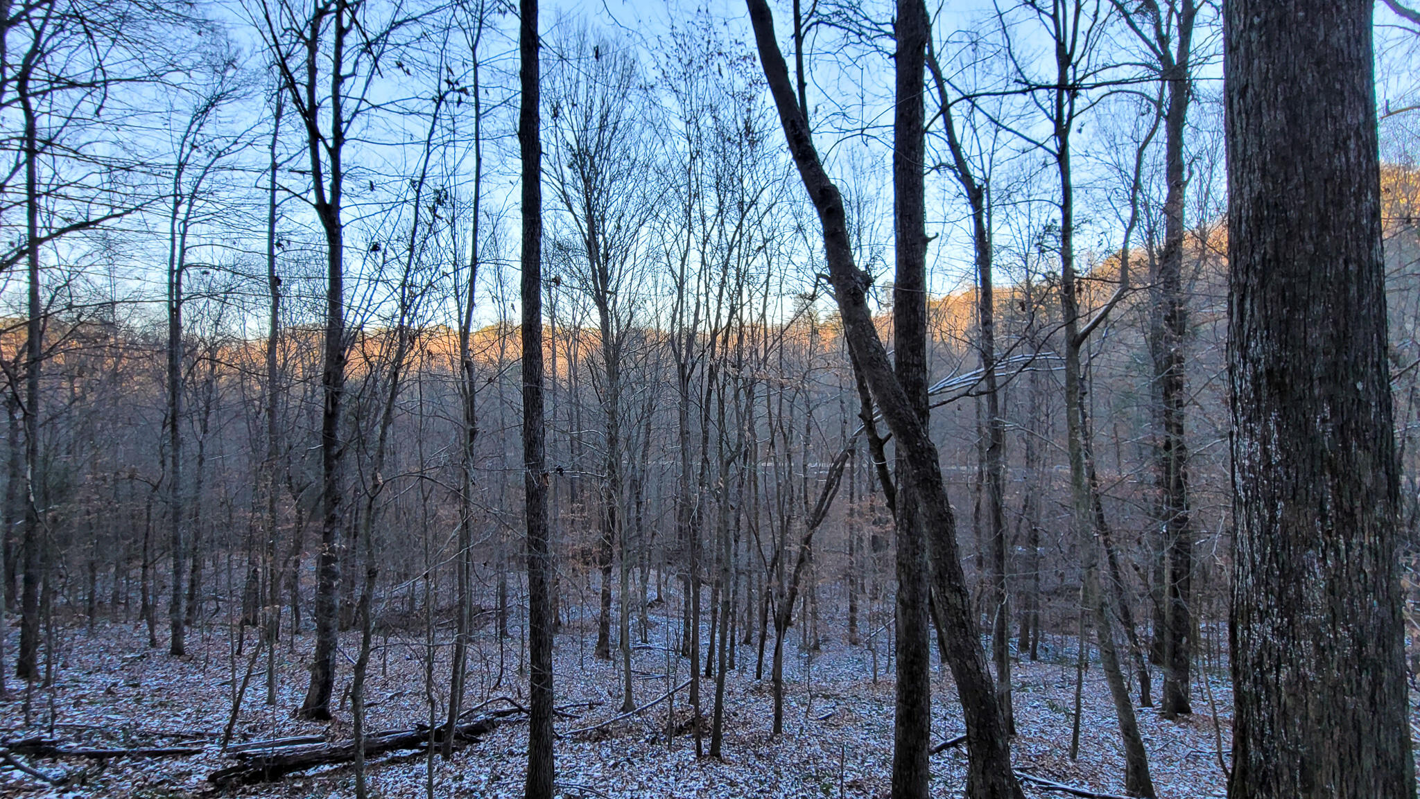 0 Beech Timber Road Beattyville, KY 41311 - Photo 23 of 54 20241212_162743