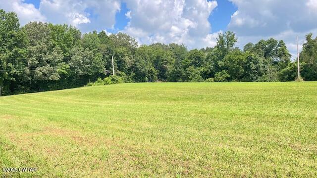 3945 Old Trezevant Road Atwood, TN 38220 - Photo 20 of 52 IMG_9461