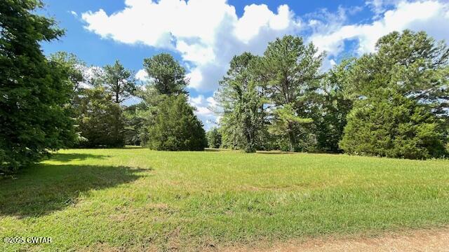3945 Old Trezevant Road Atwood, TN 38220 - Photo 21 of 52 IMG_9462