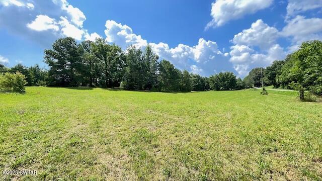 3945 Old Trezevant Road Atwood, TN 38220 - Photo 26 of 52 IMG_9452