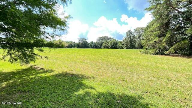3945 Old Trezevant Road Atwood, TN 38220 - Photo 27 of 52 IMG_9485