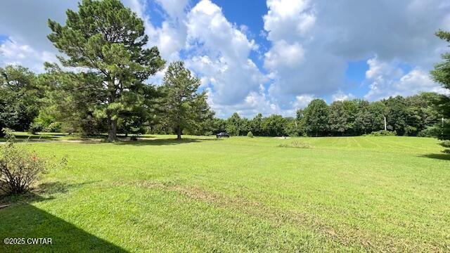 3945 Old Trezevant Road Atwood, TN 38220 - Photo 28 of 52 IMG_9479