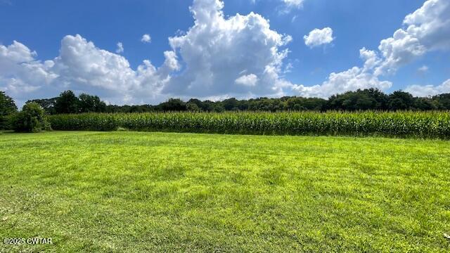 3945 Old Trezevant Road Atwood, TN 38220 - Photo 33 of 52 IMG_9499