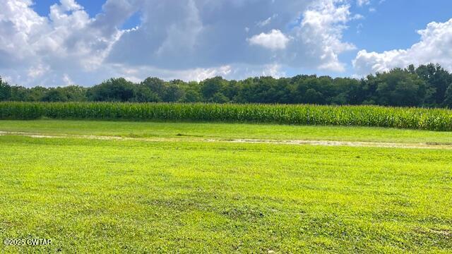3945 Old Trezevant Road Atwood, TN 38220 - Photo 34 of 52 IMG_9496