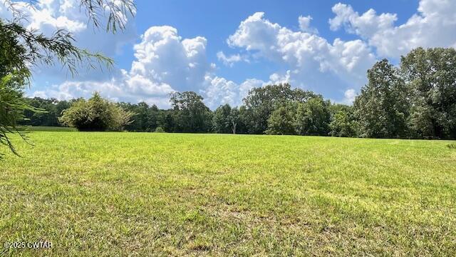 3945 Old Trezevant Road Atwood, TN 38220 - Photo 35 of 52 IMG_9490
