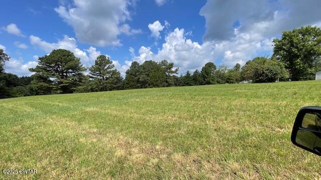 3945 Old Trezevant Road Atwood, TN 38220 - Photo 37 of 52 IMG_9520