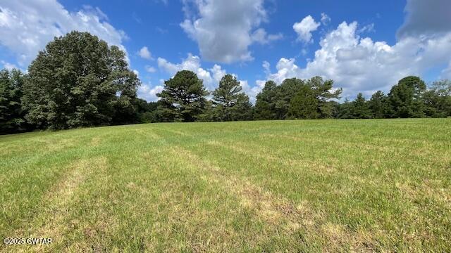 3945 Old Trezevant Road Atwood, TN 38220 - Photo 38 of 52 IMG_9521