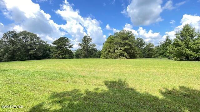 3945 Old Trezevant Road Atwood, TN 38220 - Photo 39 of 52 IMG_9523