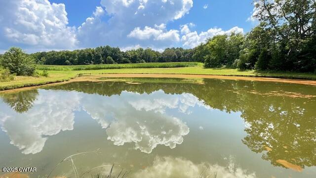 3945 Old Trezevant Road Atwood, TN 38220 - Photo 44 of 52 IMG_9515