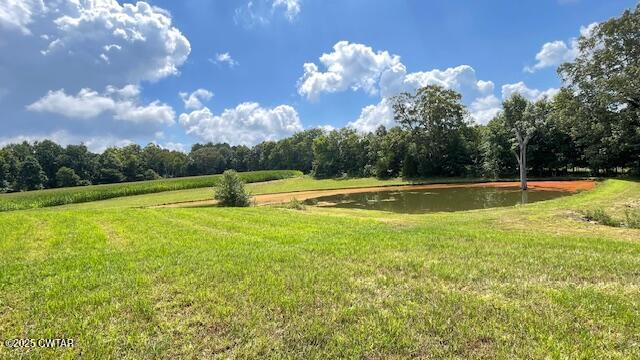3945 Old Trezevant Road Atwood, TN 38220 - Photo 45 of 52 IMG_9512