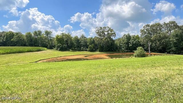 3945 Old Trezevant Road Atwood, TN 38220 - Photo 46 of 52 IMG_9509