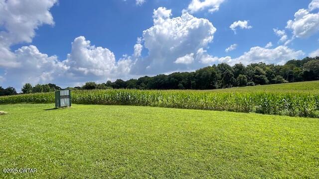 3945 Old Trezevant Road Atwood, TN 38220 - Photo 47 of 52 IMG_9507