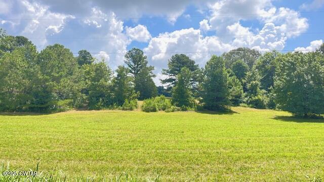 3945 Old Trezevant Road Atwood, TN 38220 - Photo 48 of 52 IMG_9548