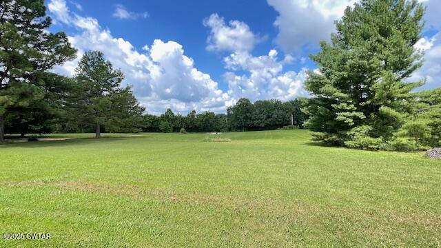 3945 Old Trezevant Road Atwood, TN 38220 - Photo 49 of 52 IMG_9543