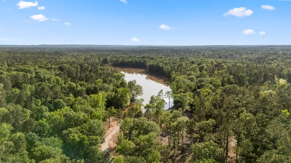 an aerial view of residential houses with outdoor space and trees