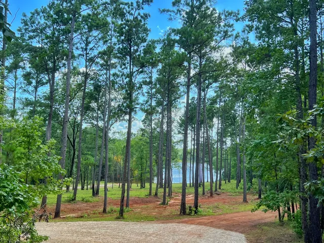 a view of a park with tree s