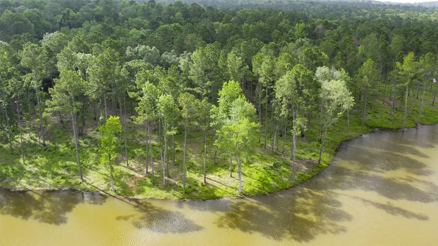 a view of a lush green forest with trees and some houses