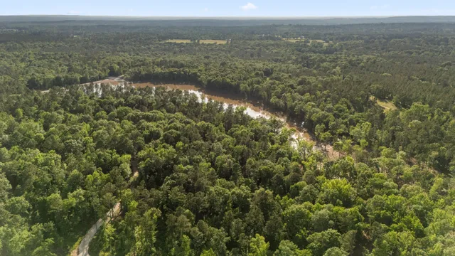 an aerial view of residential houses with outdoor space and trees