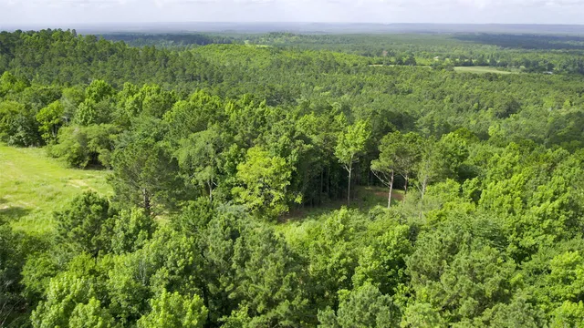 a view of an outdoor space and a yard