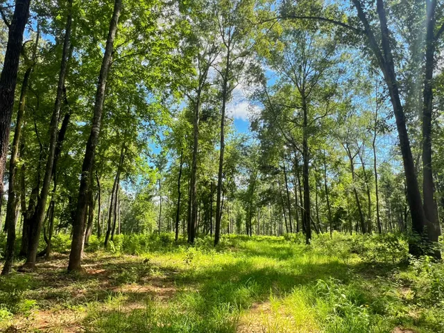 a view of a patio with a table and chairs under an umbrella