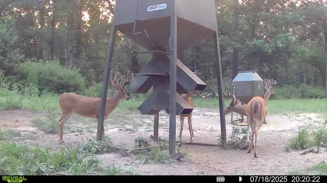 $6,400,000 | 1320 County Road 2112, Rusk, TX 75785