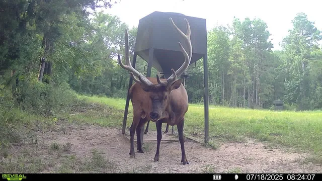 $6,400,000 | 1320 County Road 2112, Rusk, TX 75785