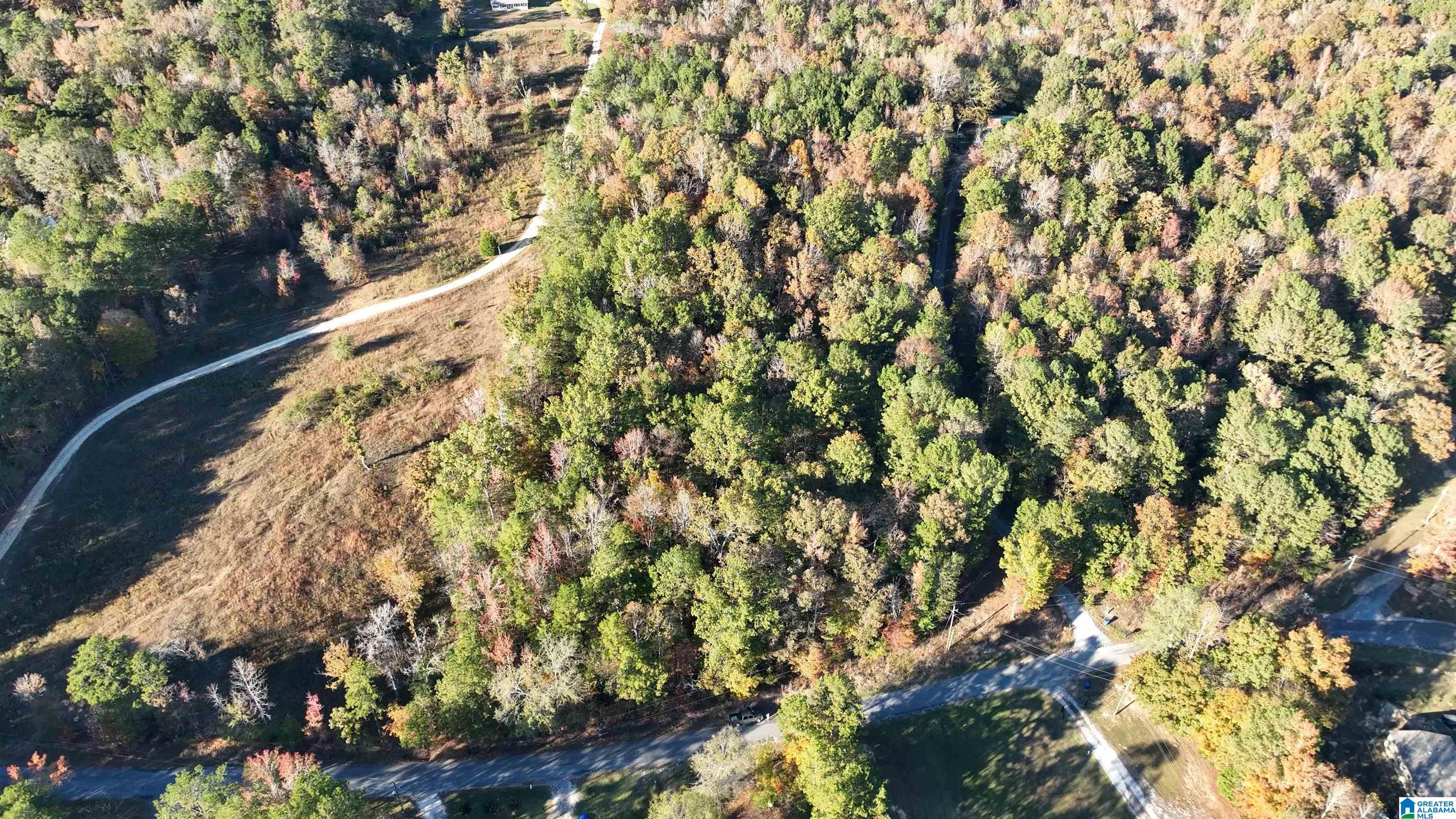 0 Waldrop Road, Unit 10 82 ACRES Ashville, AL 35953 - Photo 1 of 22