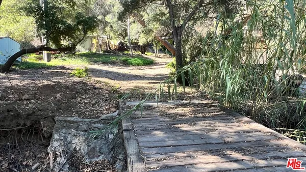 a view of a park with large trees