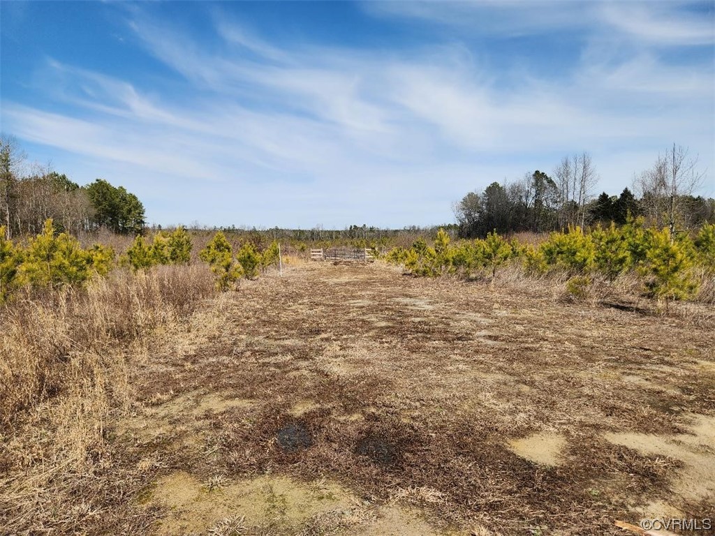 12139 Kientz Road Jarratt, VA 23867 - Photo 3 of 8 Gallery Image 3