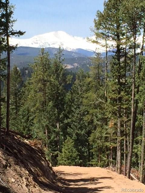 27108 Forest Grove Road Evergreen, CO 80439 - Photo 1 of 12 Gallery Image 1
