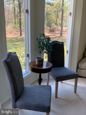 132 Bortons Road Marlton, NJ 08053 - Photo 18 of 63