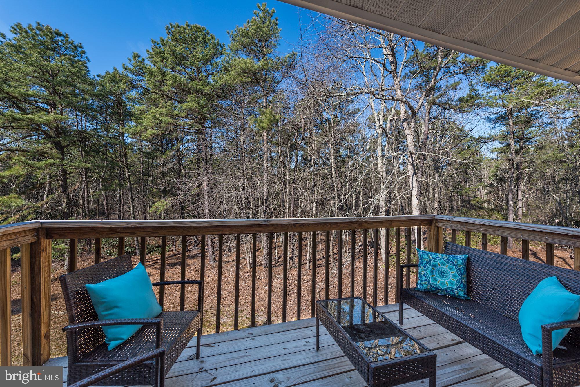 132 Bortons Road Marlton, NJ 08053 - Photo 62 of 63