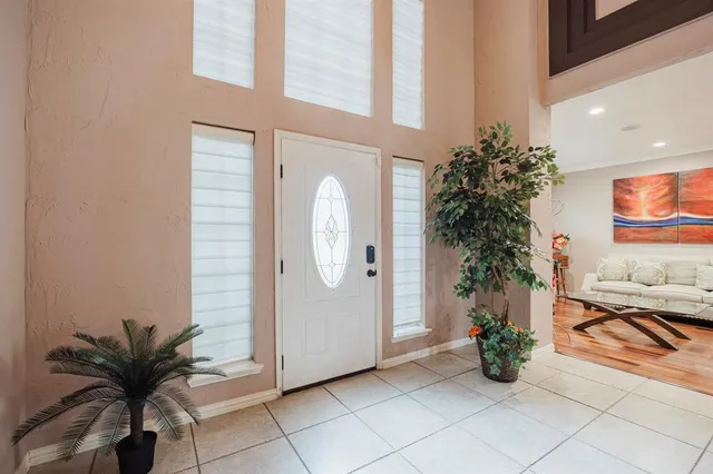 a potted plant sitting in front of a house
