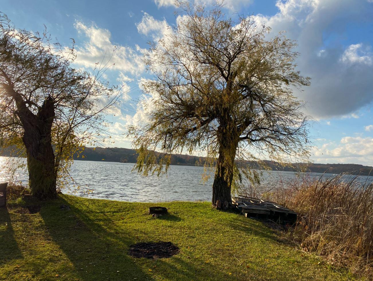 8836 Dexter Townhall Road Pinckney, MI 48169 - Photo 3 of 10 Willows November