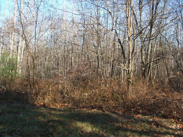 1023 Alewive Road Kennebunk, ME 04043 - Photo 13 of 32 Photo