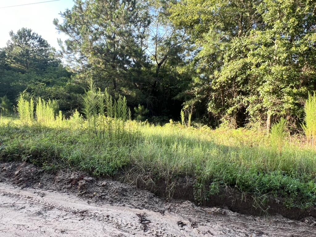 0 Archie Ware Road Trenton, SC 29847 - Photo 2 of 7