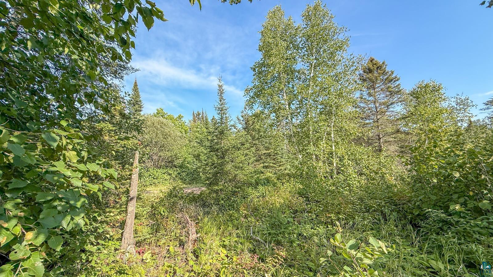 Xxx1 Mink Ranch Road Lutsen, MN 55612 - Photo 4 of 19 Gallery Image 4