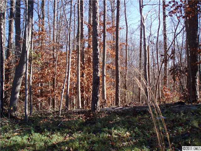Lot124 Weddington Road Matthews, NC 28104 - Photo 1 of 2 Gallery Image 1