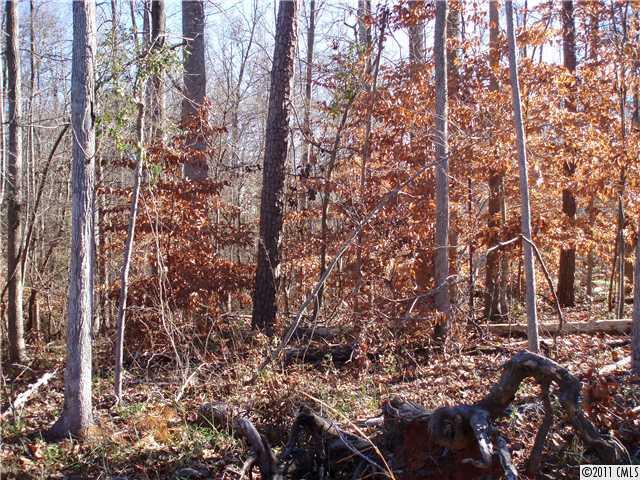Lot124 Weddington Road Matthews, NC 28104 - Photo 2 of 2 Gallery Image 2